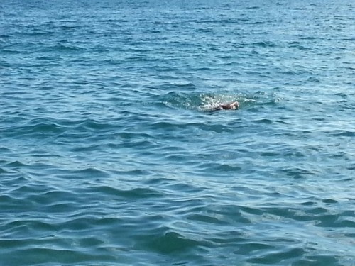 20130701_174305_resized
