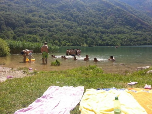 Logorovanje13_18