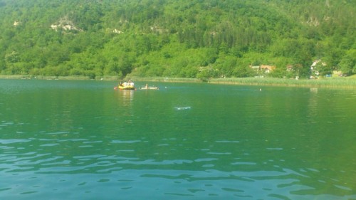 Logorovanje13_23