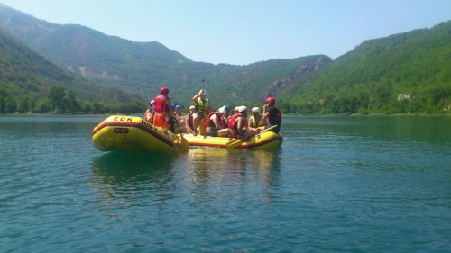 Logorovanje13_25
