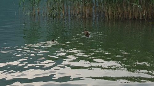 boracko jezero 2015_41