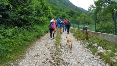 boracko jezero 2015_68