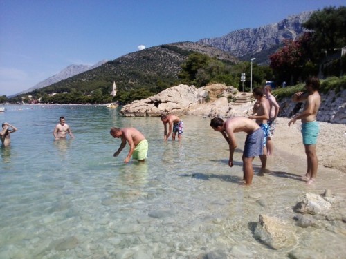 zaostrog2013_12