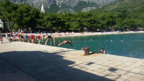 zaostrog 2016_8