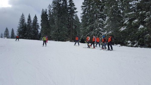 Skijanje - Vlasic_1