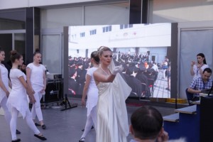 IMG_7846